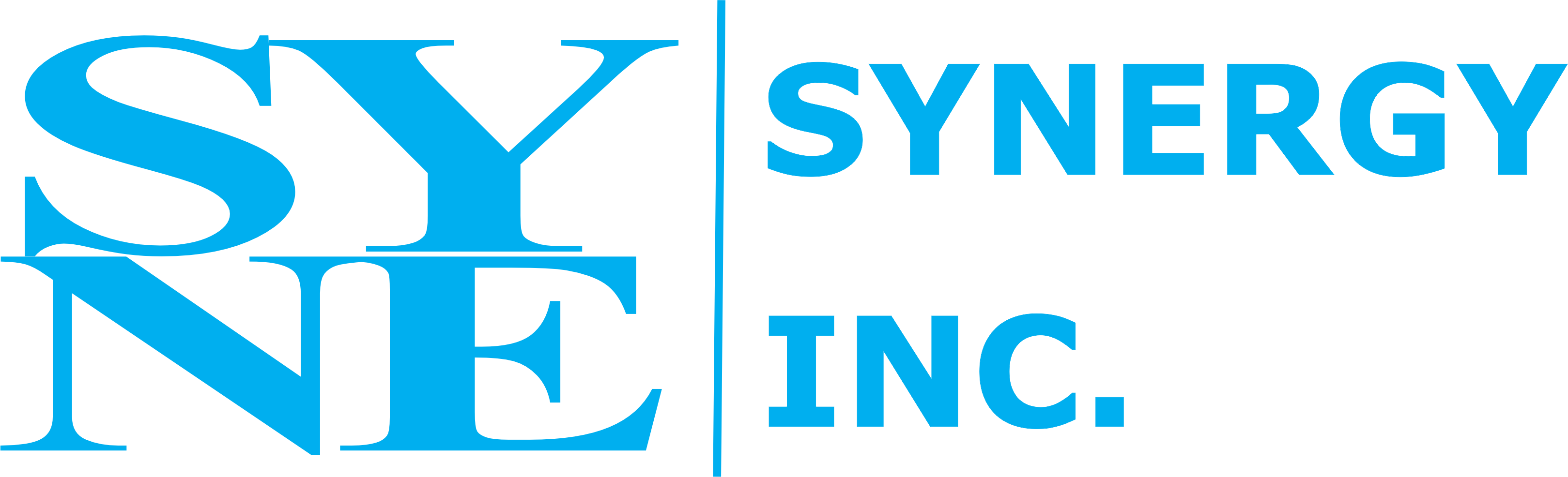 Synergy Inc.
